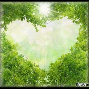 Meet your Posher, Haim